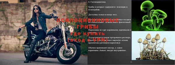 Альфа ПВП Богданович