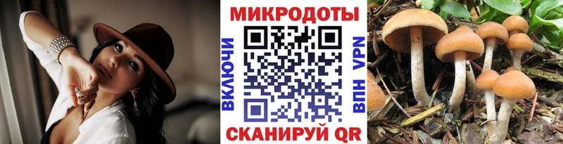 Галлюциногенные грибы Psilocybe мега как зайти Мышкин закладки